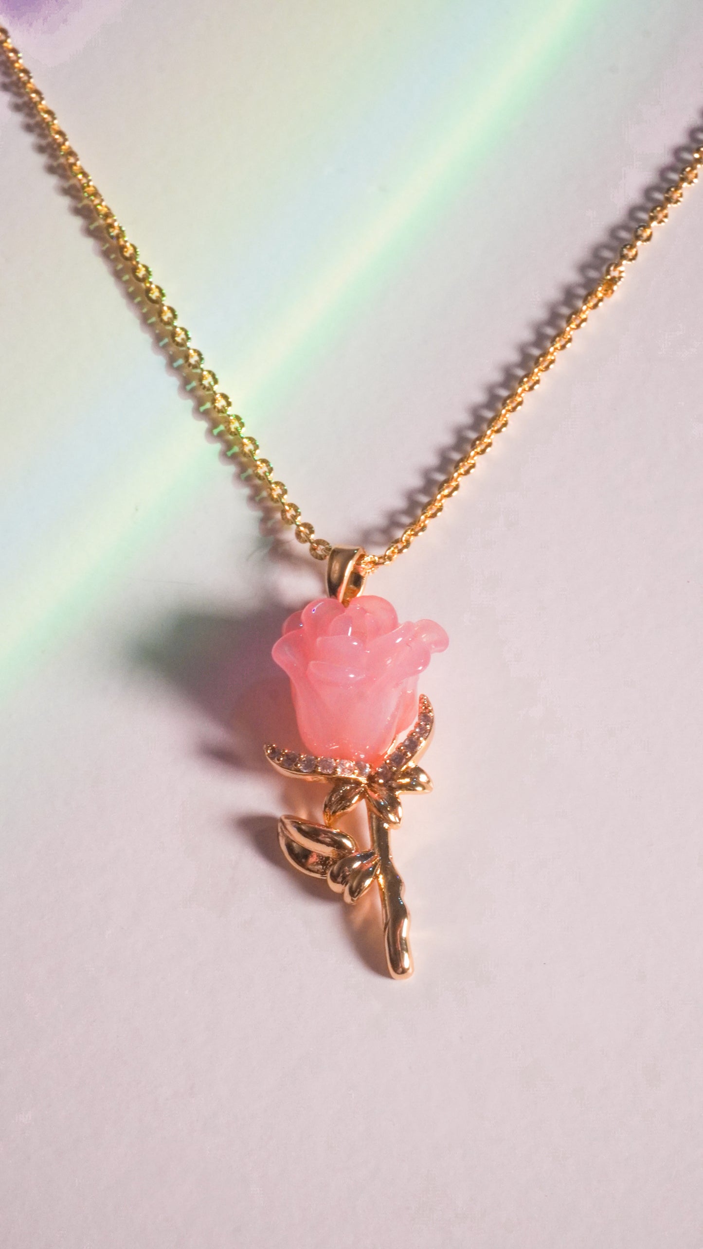 Rosa